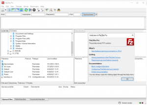 FileZilla Pro 3 Crack Activation Code Generator Full Free Download 2022[Portable]